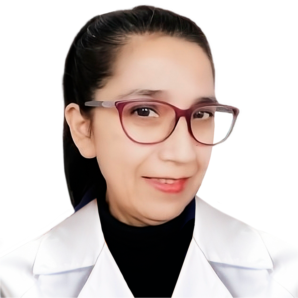 Dra. Himelda Chavez Torres - CV